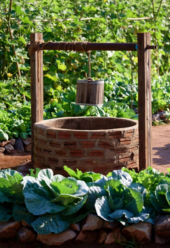 An old-fashioned well that is well-maintained -- Virginia well inspections