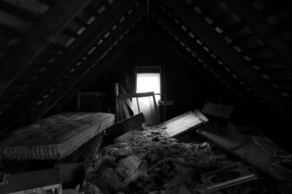 Problems often go undetected by homeowners in attics -- attic inspection home inspector Virginia