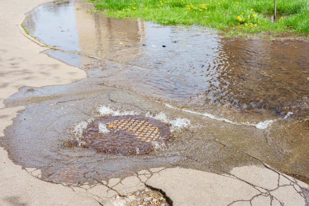 Standing water and moisture are a common crawl space problem --crawl space home inspection Virginia
